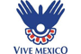 Vive Mxico - Becas Culturales Internacionales